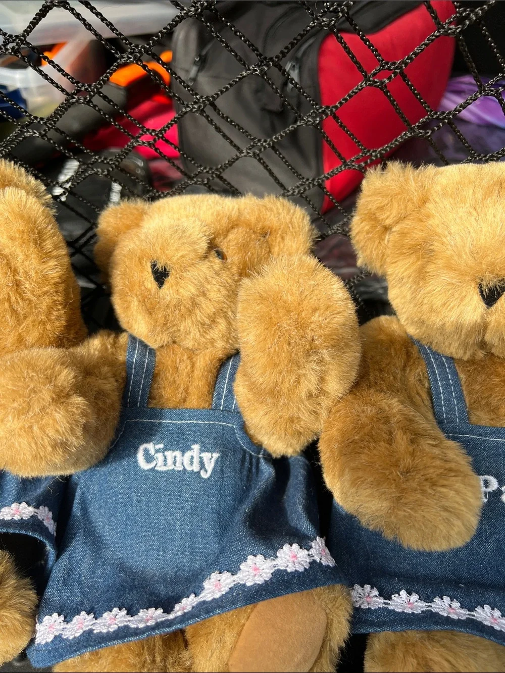 Personalized Brown Plush Teddy Bear Collection in Blue Outfits